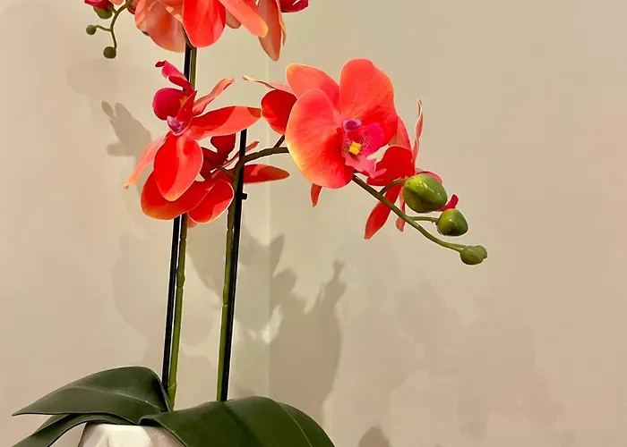 דירה Nataly New Luxury On Black Sea *