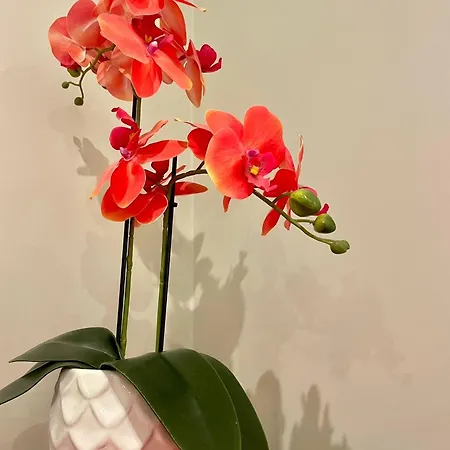 Apartamento Nataly New Luxury On Black Sea *